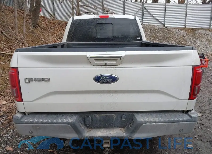 1FTFW1EG5FFC28313# 16