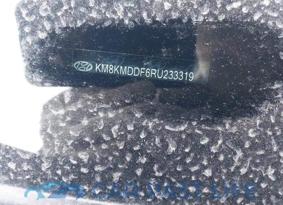 KM8KMDDF6RU233319# 19