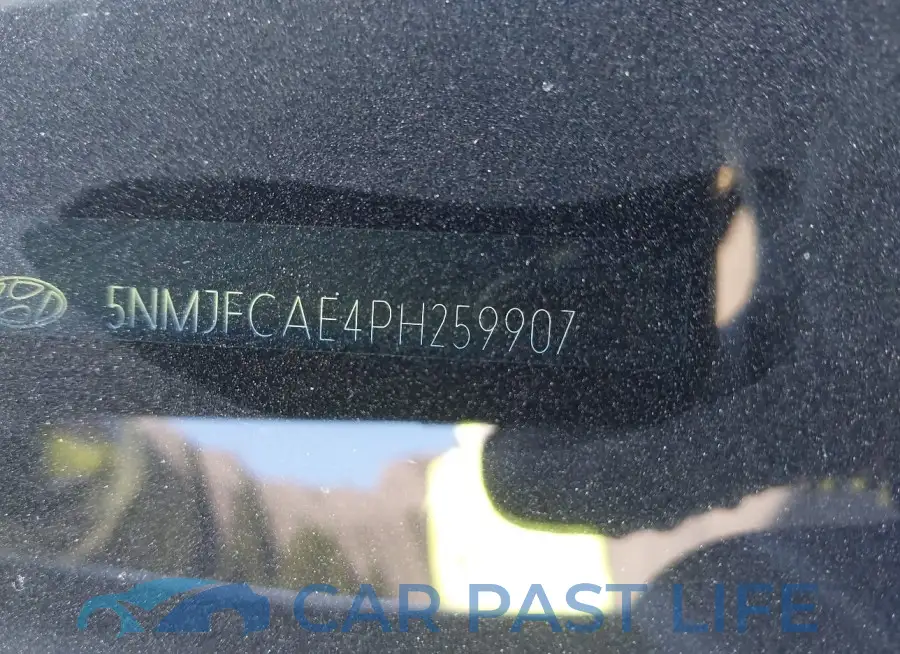 5NMJFCAE4PH259907# 9