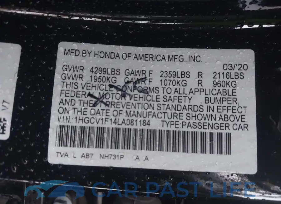 1HGCV1F14LA081184# 9