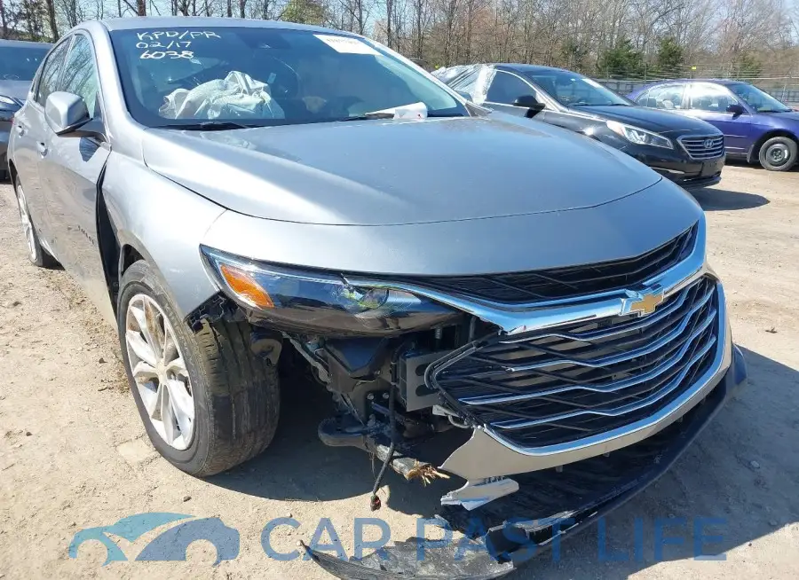 1G1ZD5ST4RF166038# 17