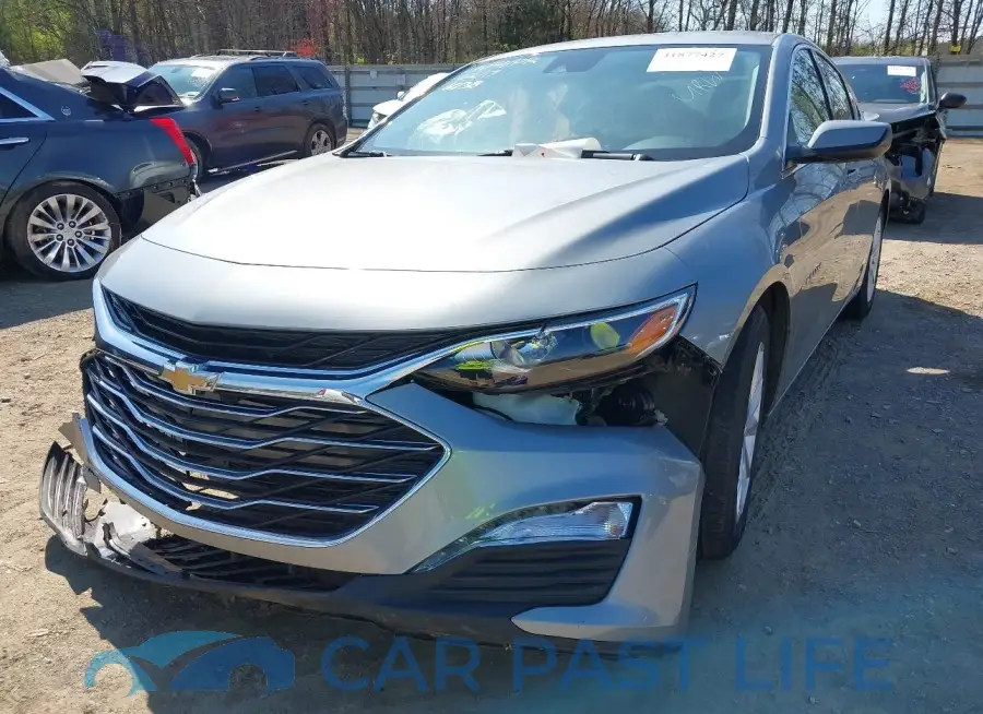 1G1ZD5ST4RF166038# 6