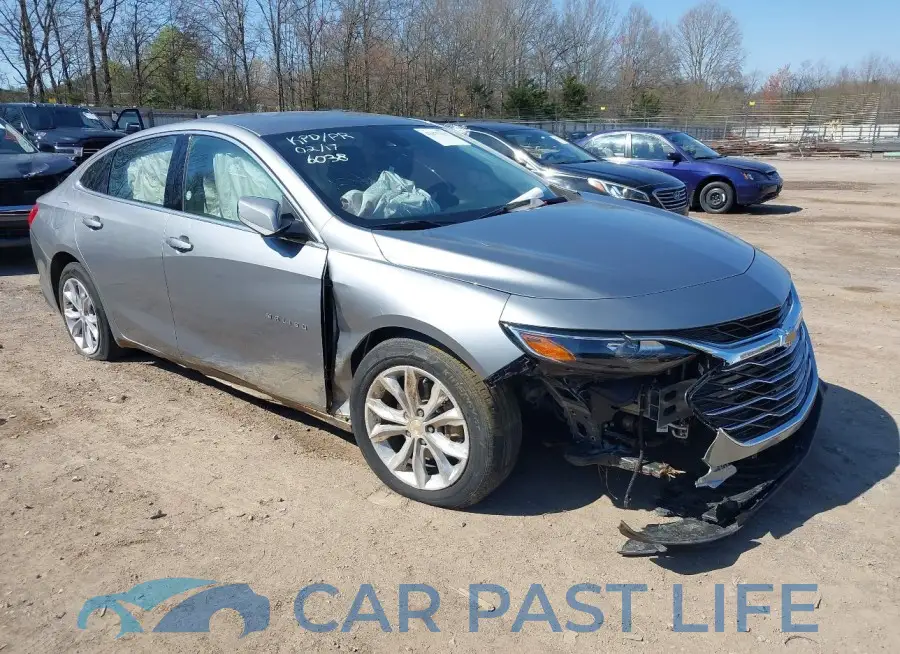 1G1ZD5ST4RF166038# 1