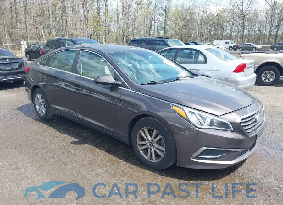 5NPE24AF7GH384995# 1