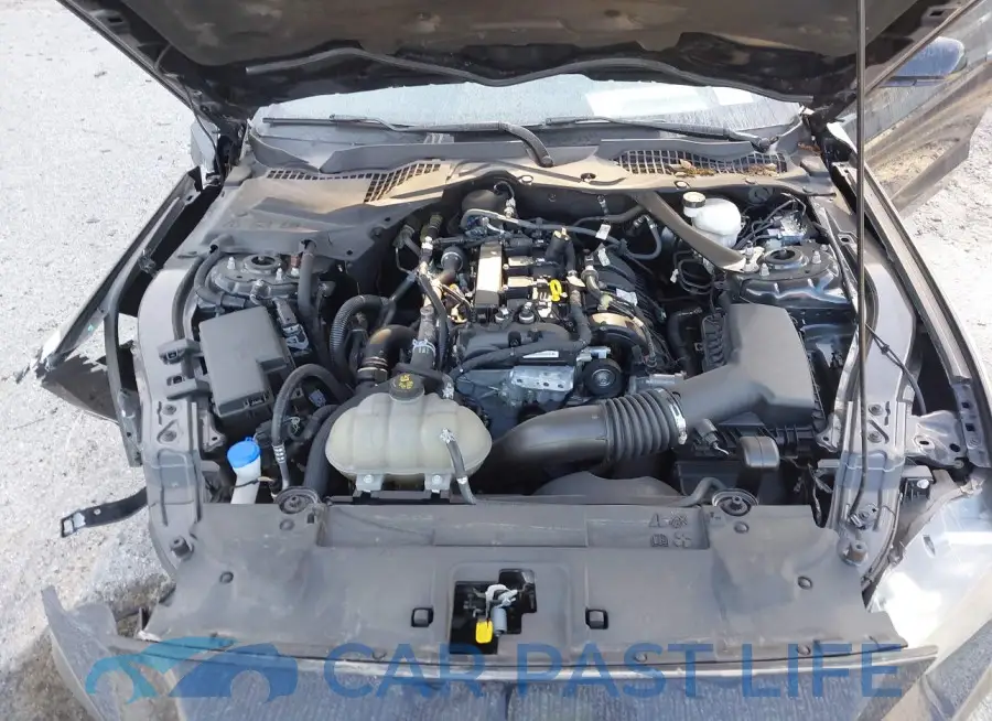 1FATP8UH6M5103235# 10