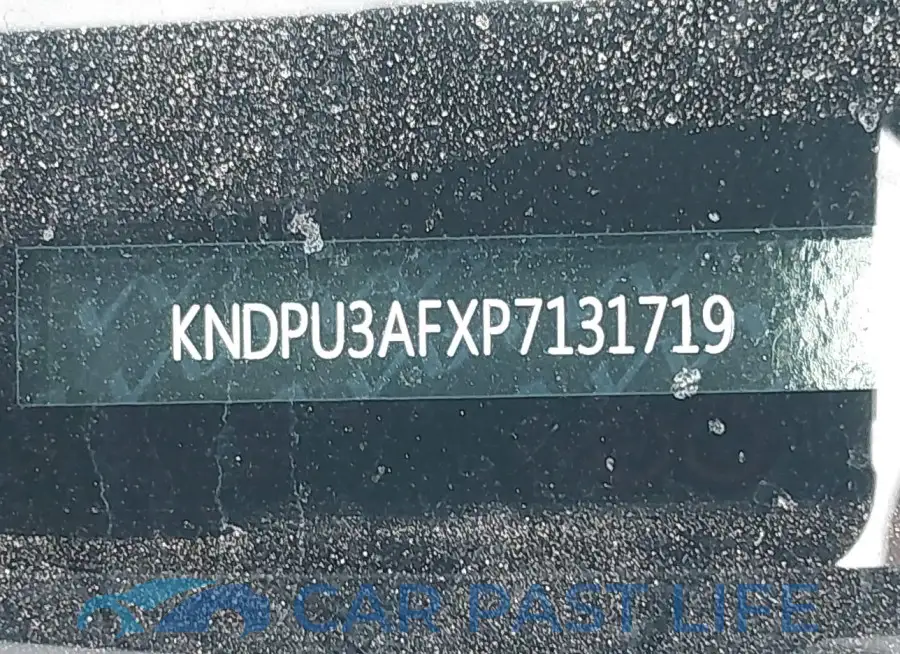 KNDPU3AFXP7131719# 9