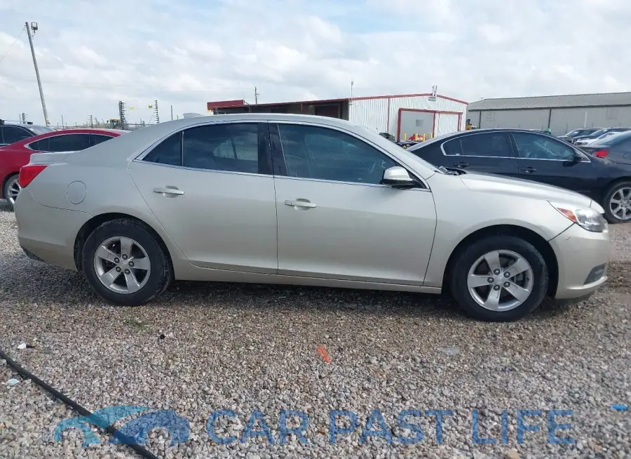 1G11C5SAXGF154374# 13