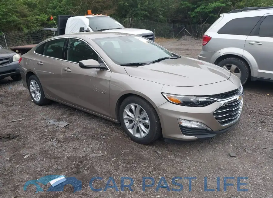 1G1ZD5ST4RF194518# 1