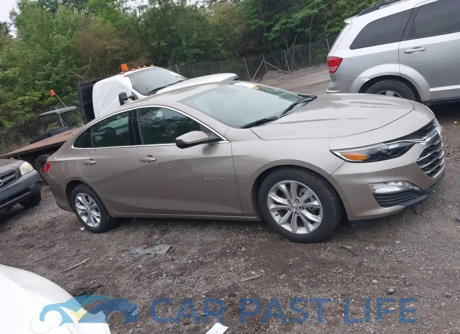 1G1ZD5ST4RF194518# 13