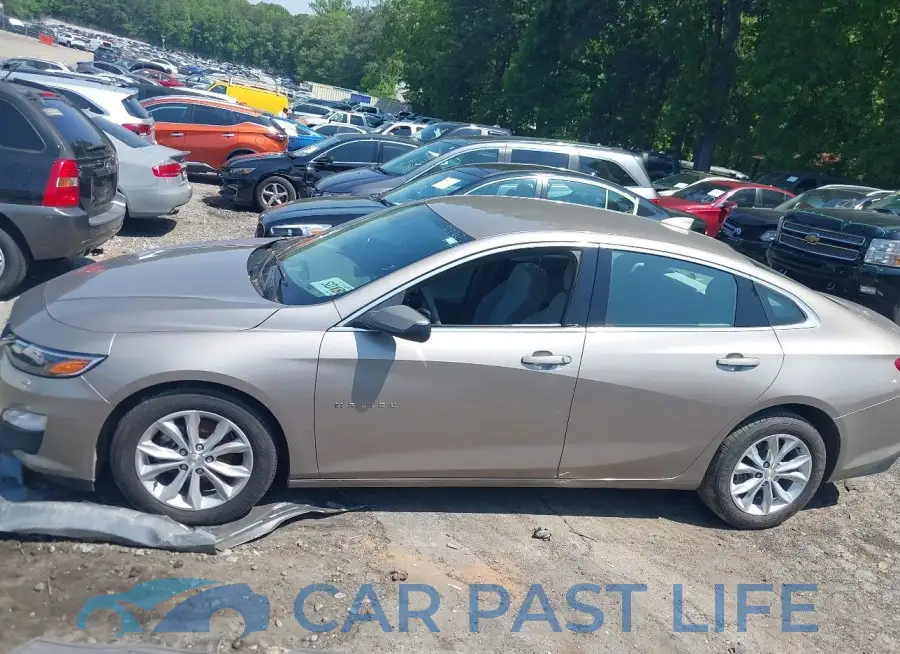 1G1ZD5ST1PF139747# 14