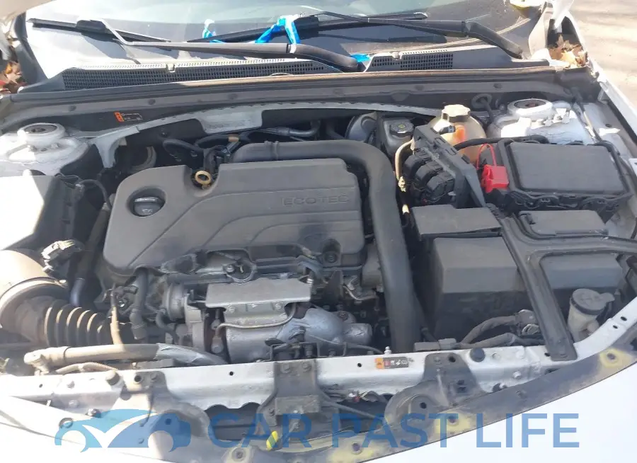 1G1ZD5ST8KF113767# 10