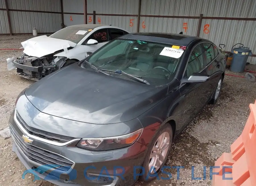 1G1ZJ5SU3GF313089# 19