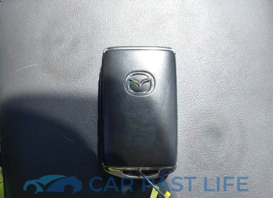 JM1BPBEY3M1316264# 11