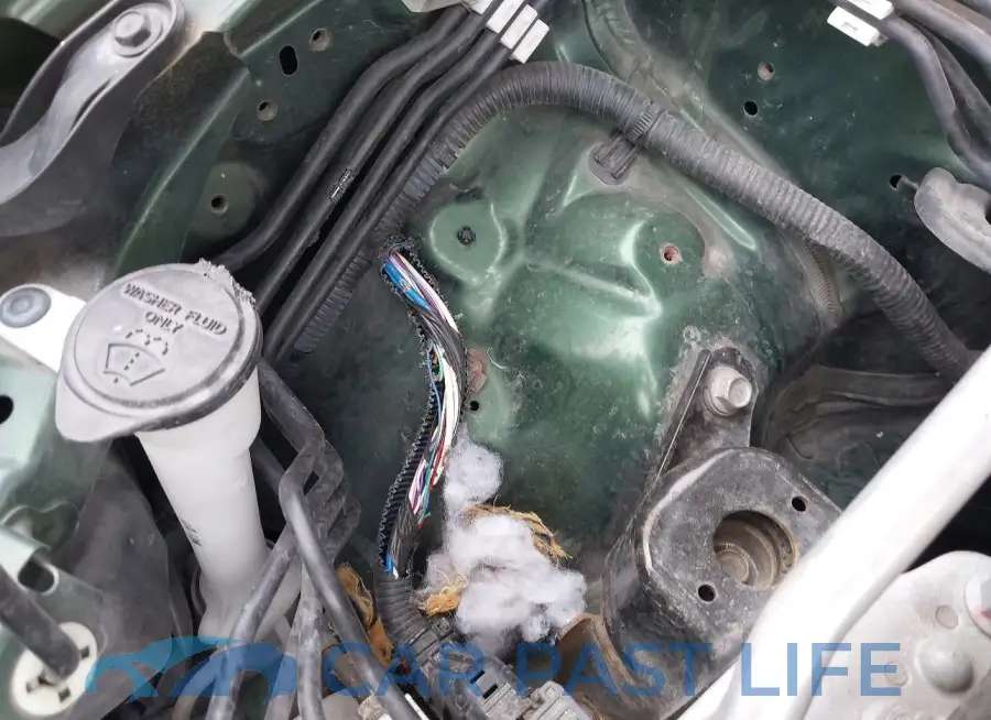 2T1BURHE9GC644808# 17