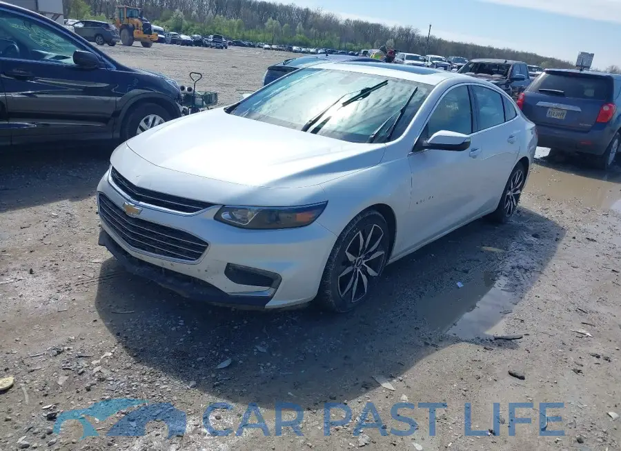 1G1ZD5ST4JF155464# 2