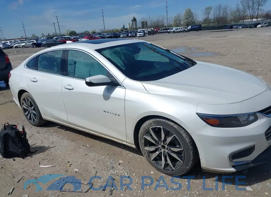 1G1ZD5ST4JF155464# 14