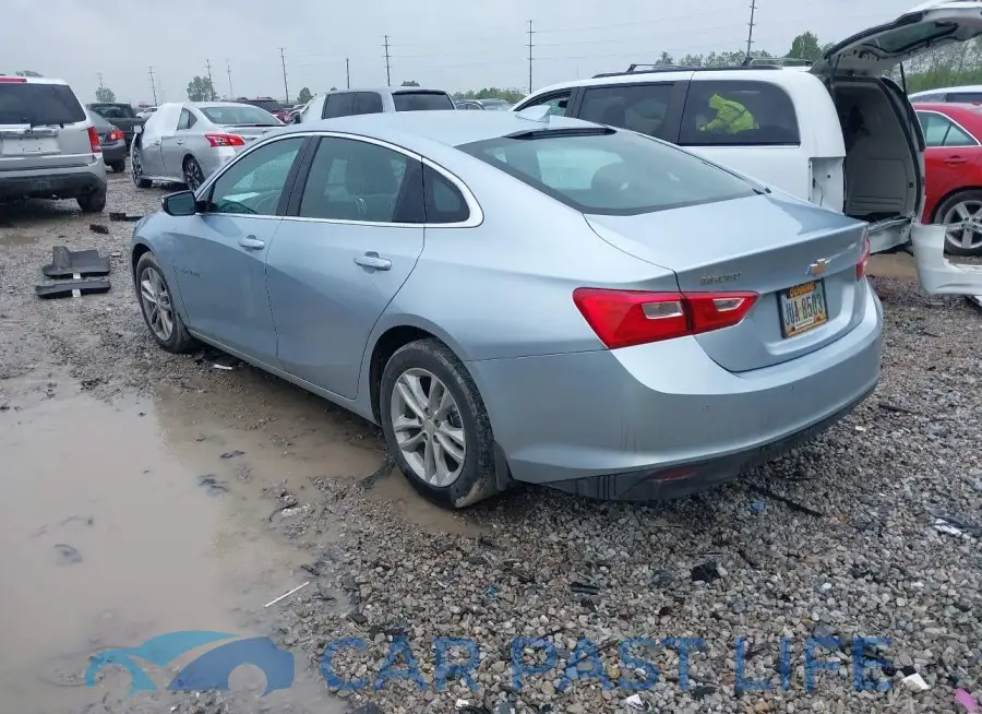 1G1ZD5ST5JF161838# 3
