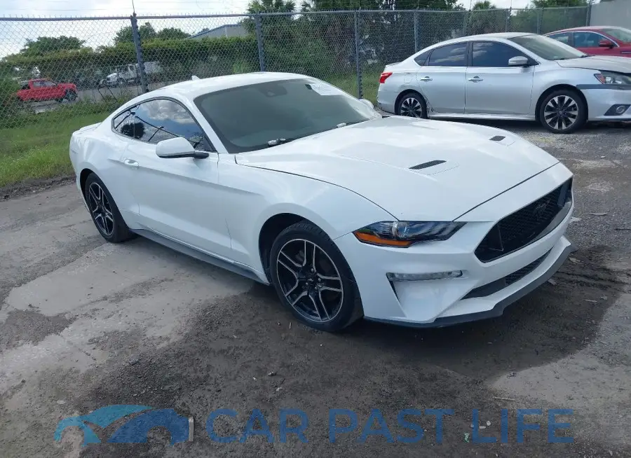 1FA6P8TH6M5115299# 1