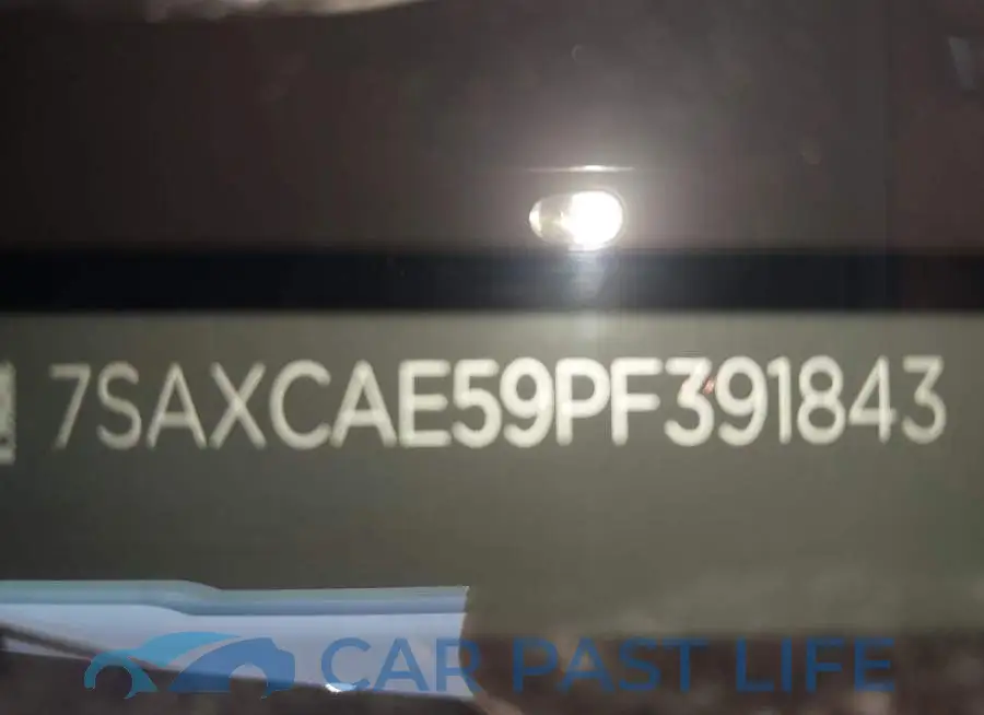 7SAXCAE59PF391843# 9