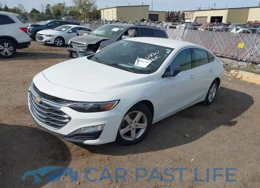 1G1ZD5ST5PF230164# 2