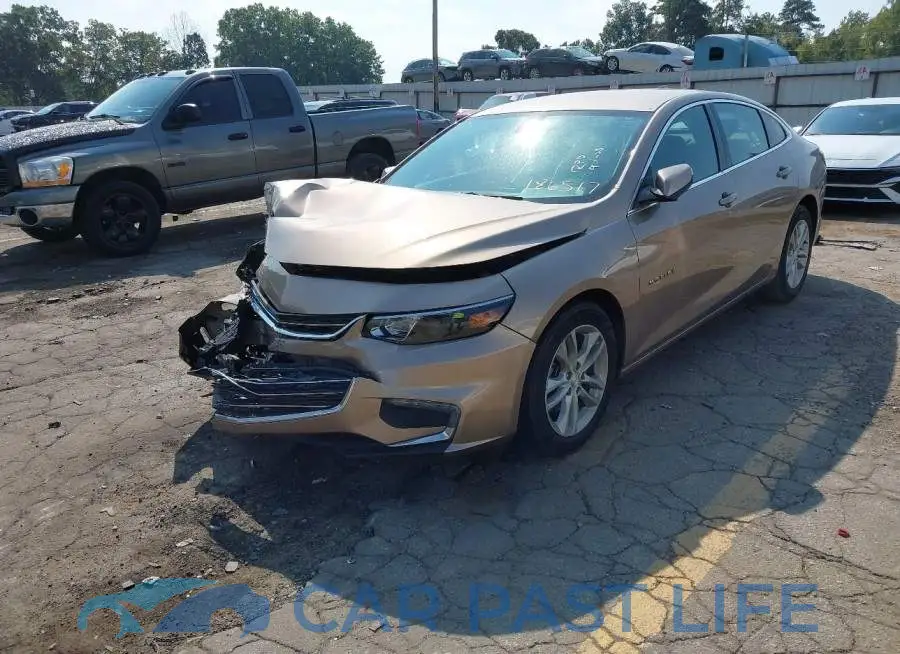 1G1ZD5ST0JF186517# 2