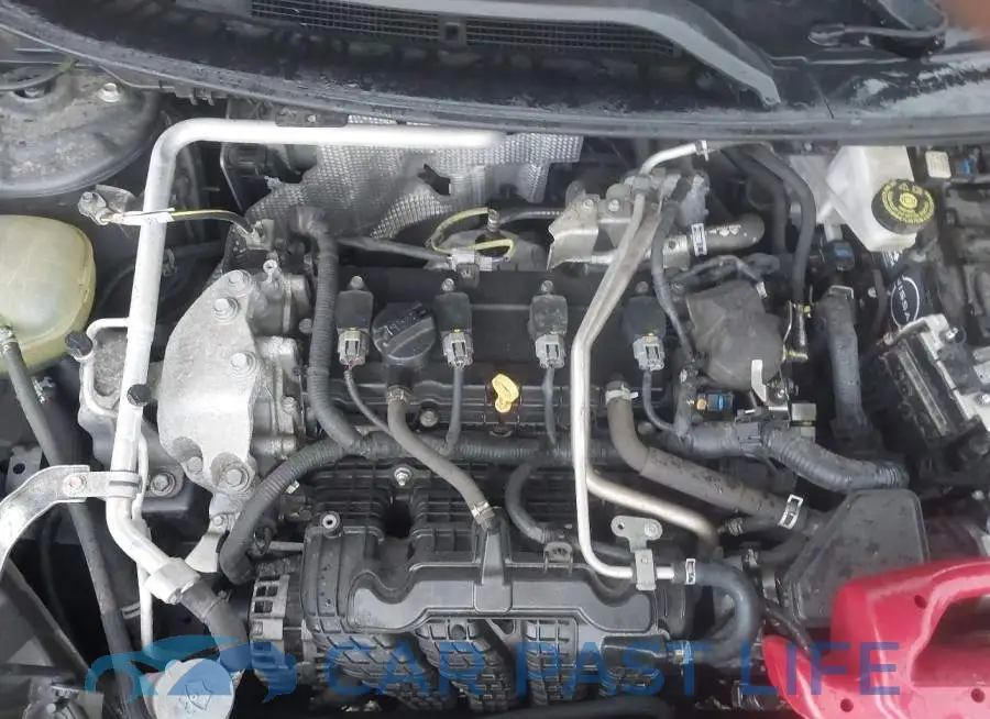 5N1AT3BB5MC690520# 10
