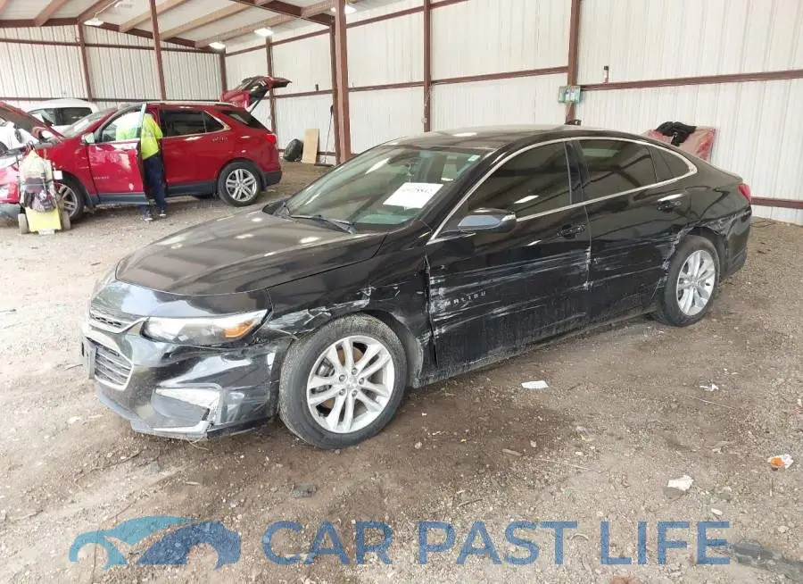 1G1ZD5ST5JF142643# 2