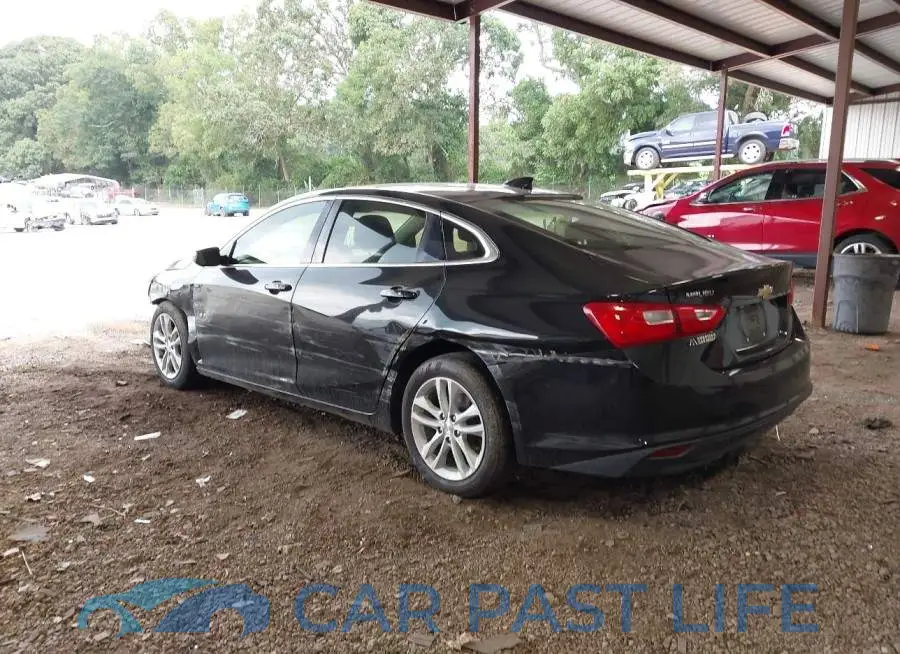 1G1ZD5ST5JF142643# 3