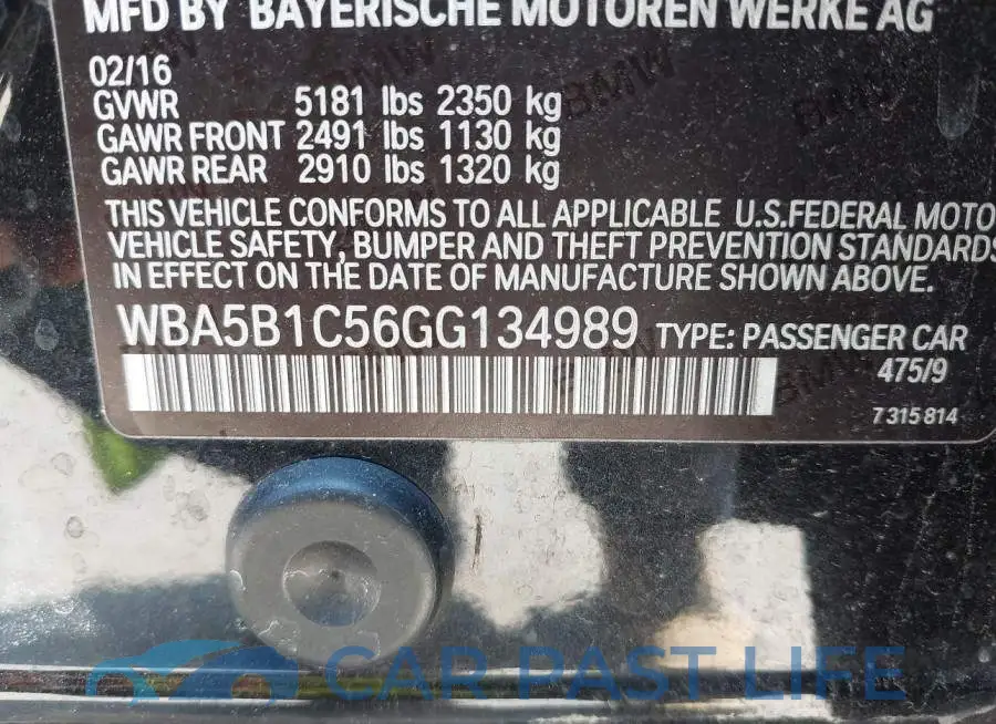 WBA5B1C56GG134989# 9