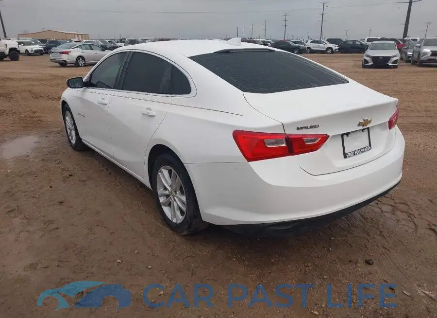 1G1ZD5ST2JF146620# 3