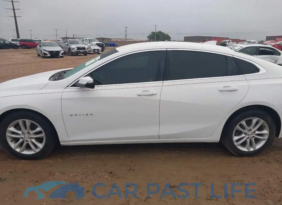 1G1ZD5ST2JF146620# 14