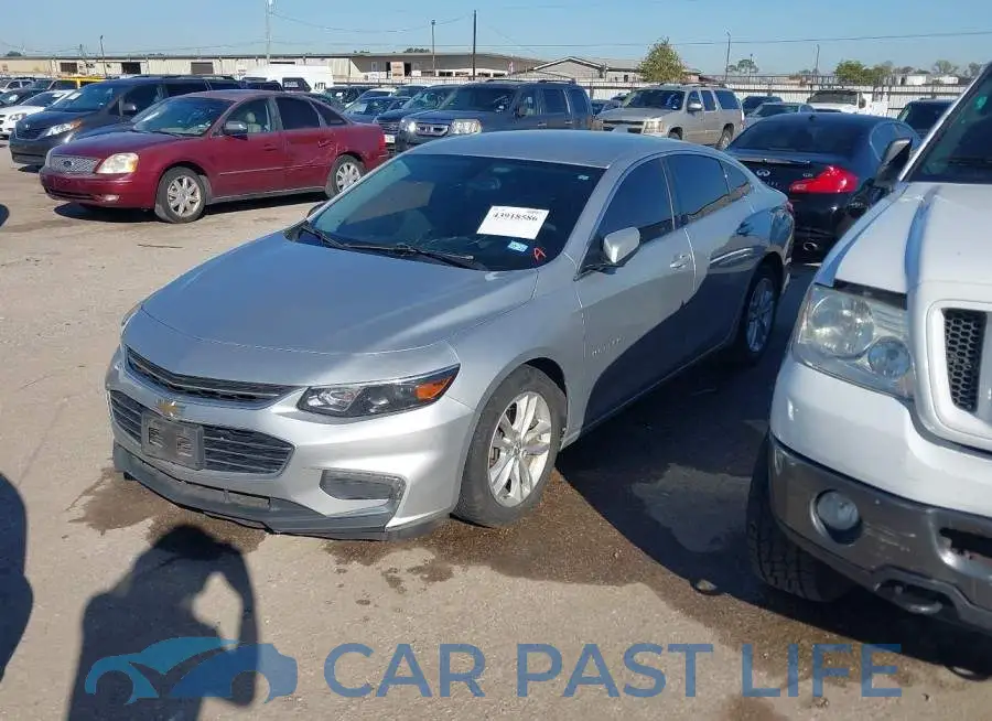 1G1ZD5ST7JF147486# 2