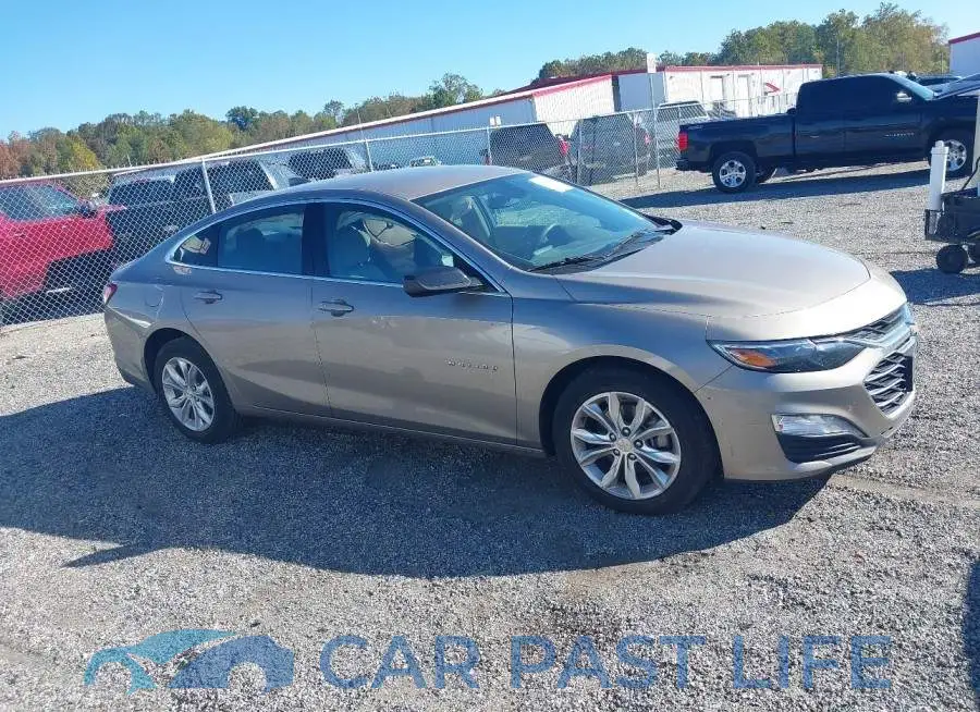 1G1ZD5ST1NF164869# 13