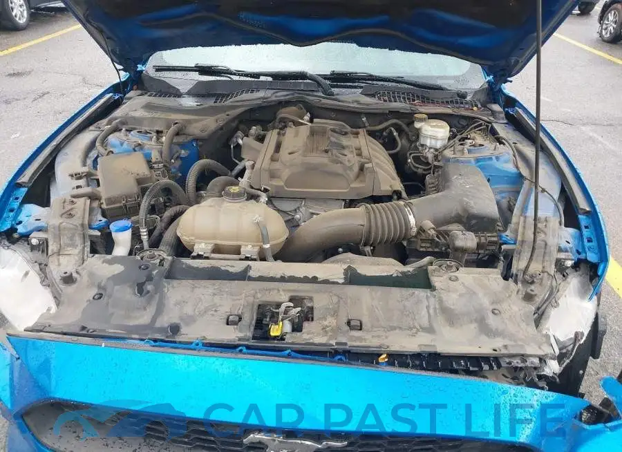 1FA6P8TH5L5146736# 10