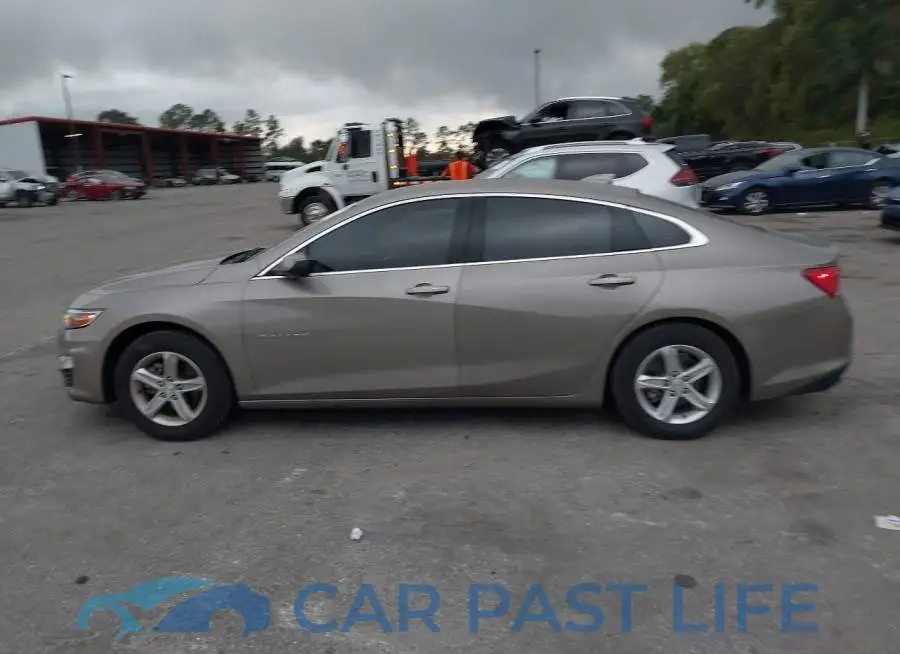 1G1ZD5ST9PF205154# 14