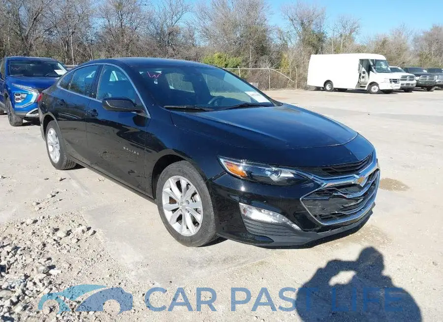 1G1ZD5ST6SF132981# 1