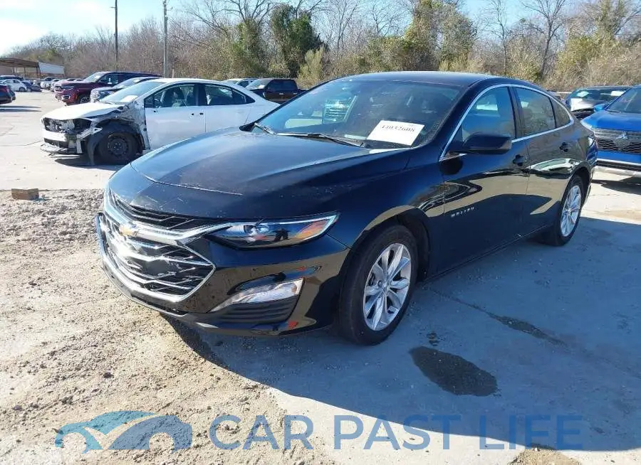 1G1ZD5ST6SF132981# 2