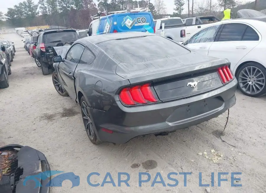 1FA6P8TH8J5153631# 3