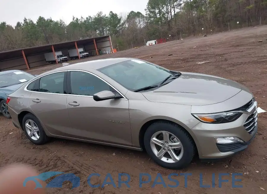 1G1ZD5ST7RF141943# 13