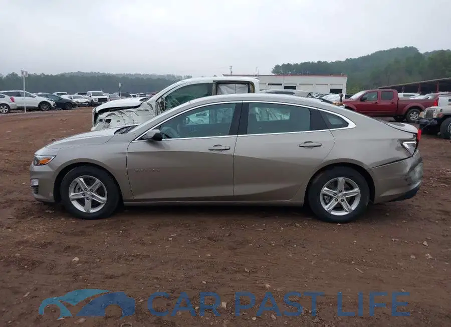 1G1ZD5ST7RF141943# 14