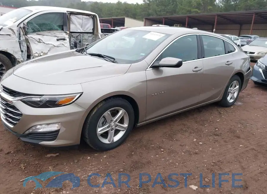 1G1ZD5ST7RF141943# 2