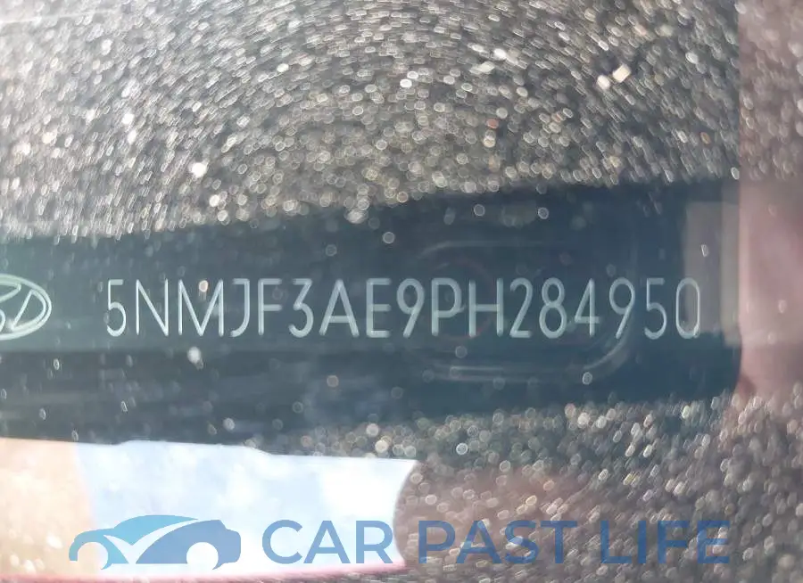 5NMJF3AE9PH284950# 19