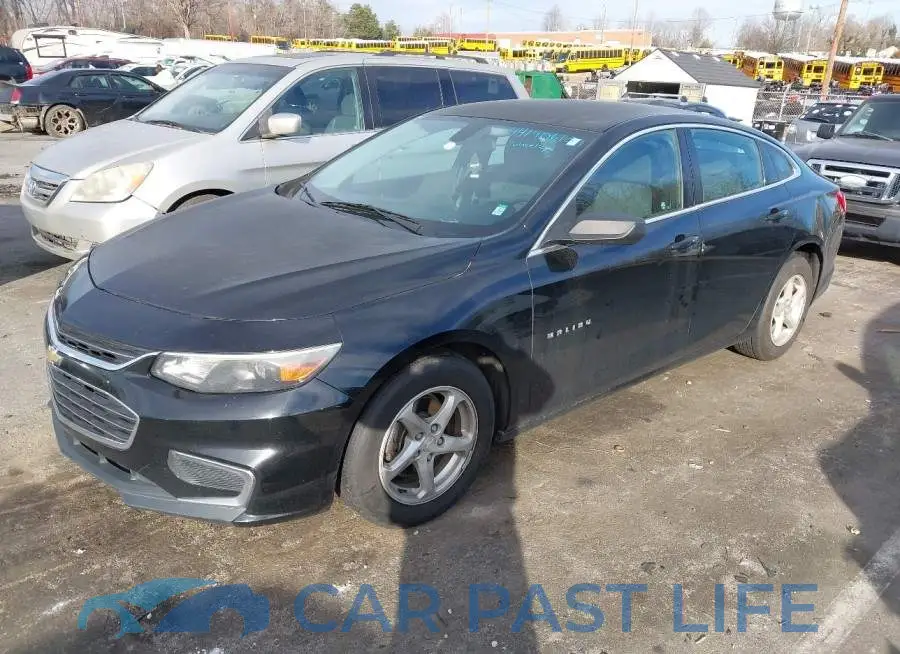 1G1ZB5ST6GF262188# 2