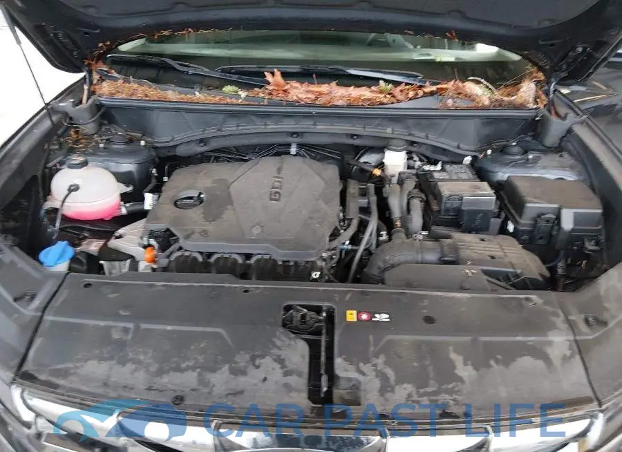 5NMJCCAE5NH068535# 10