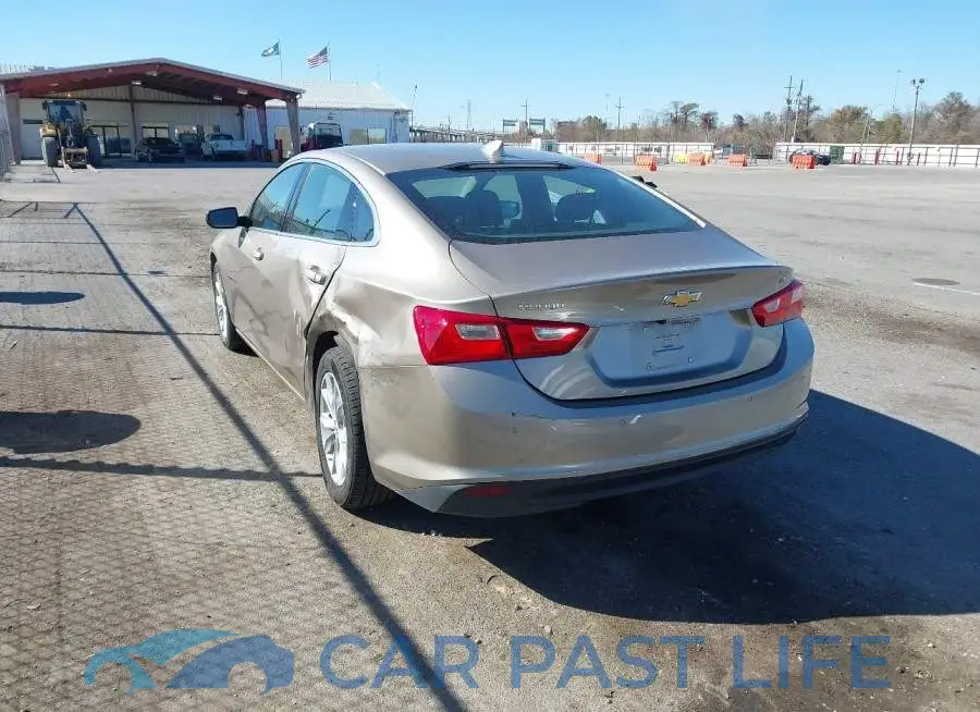 1G1ZD5ST8SF143397# 3