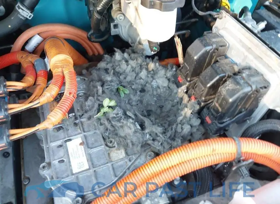 1G1FZ6S04L4132409# 19