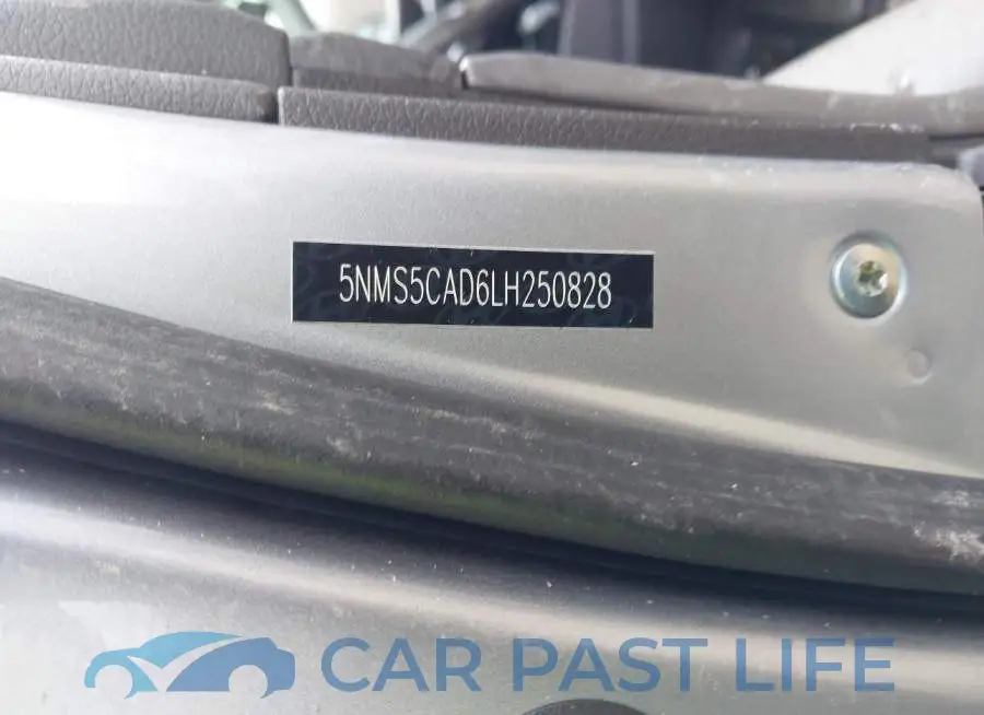 5NMS5CAD6LH250828# 9