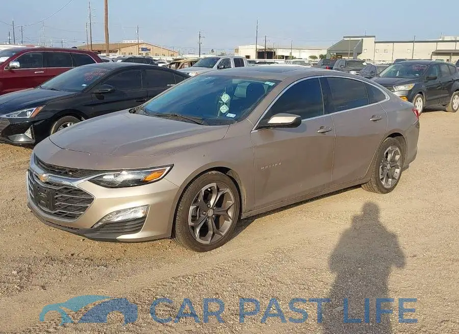 1G1ZD5ST2PF244586# 2