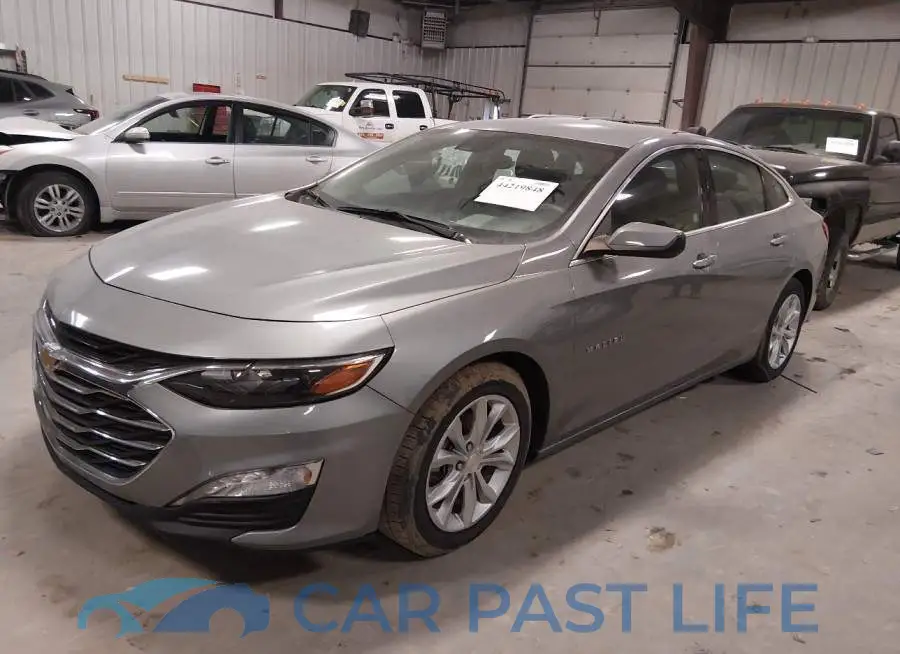 1G1ZD5ST7PF163891# 2