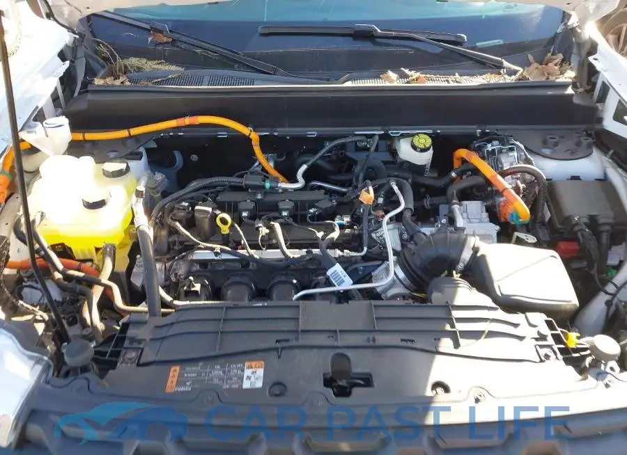 3FTTW8A34RRB44019# 10